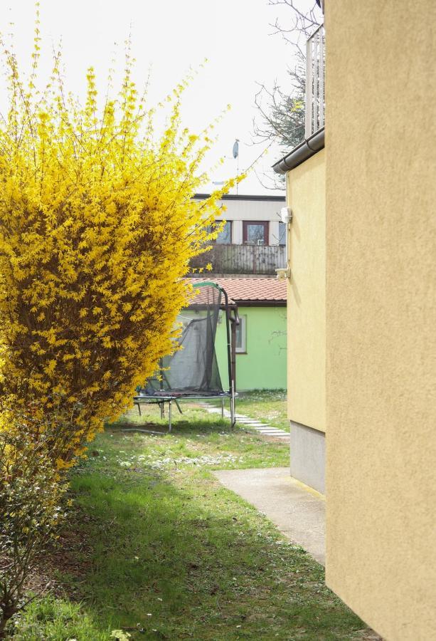 Small-Comfy Guest House In Donaustadt Garden - Not Shared! Vienna Esterno foto